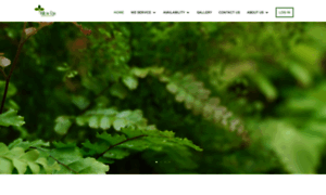 Willowrungrhse.com thumbnail