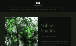 Willowstudios.online thumbnail