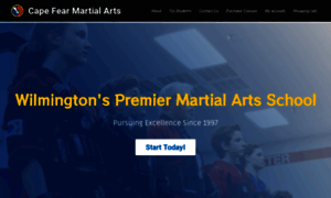 Wilmingtonmartialarts.com thumbnail