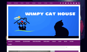 Wimpycathouse.com thumbnail