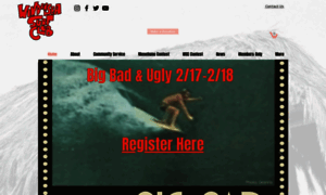 Windanseasurfclub.org thumbnail