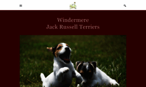Windermerejackrussellterriers.com thumbnail