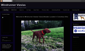 Windrunnervizslas.com thumbnail