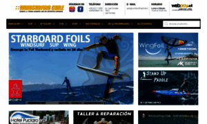 Windsurfingchile.cl thumbnail