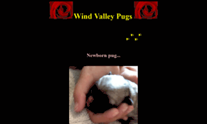 Windvalleypugs.org thumbnail