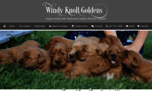 Windyknollgoldens.com thumbnail