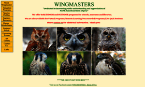 Wingmasters.net thumbnail
