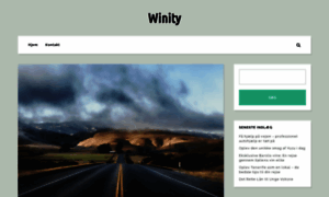 Winity.dk thumbnail