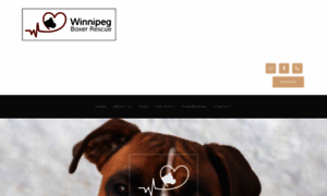 Winnipegboxerrescue.com thumbnail