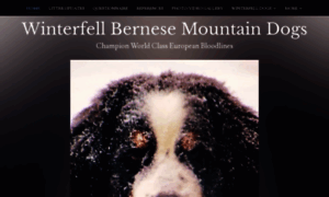 Winterfellbernesemountaindogs.com thumbnail