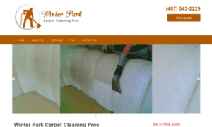 Winterparkcarpetcleaningpros.com thumbnail