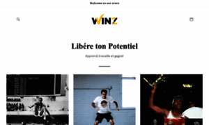 Winz.fr thumbnail