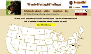 Wirehairedpointinggriffon.rescueme.org thumbnail