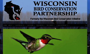 Wisconsinbirds.org thumbnail