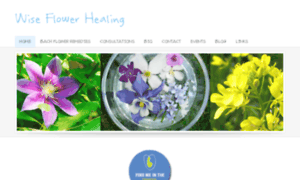 Wiseflowerhealing.com thumbnail