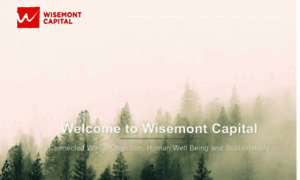 Wisemontcapital.com thumbnail