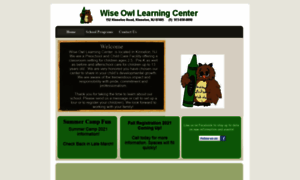 Wiseowllearningcenter.com thumbnail