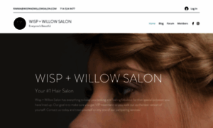 Wispandwillowsalon.com thumbnail