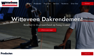 Witteveen-daktechniek.nl thumbnail