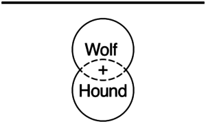 Wolfandhoundcafe.com.au thumbnail