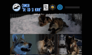 Wolfdog.ro thumbnail