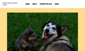 Wolfdogpuppylove.com thumbnail