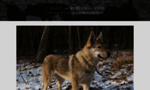 Wolfdogs.pl thumbnail