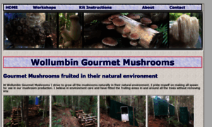Wollumbingourmetmushrooms.com.au thumbnail