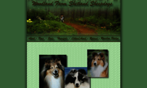 Woodlandfarmshelties.com thumbnail