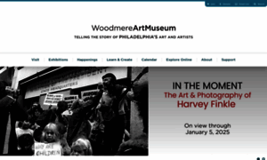 Woodmereartmuseum.org thumbnail