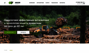 Woodprotect.ru thumbnail