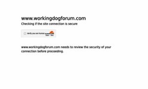 Workingdogforum.com thumbnail