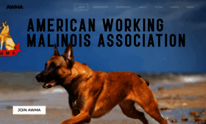 Workingmalinois.org thumbnail