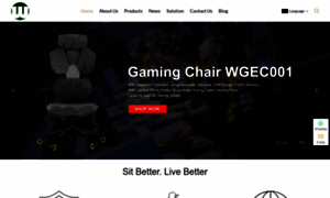 Workwellchair.com thumbnail