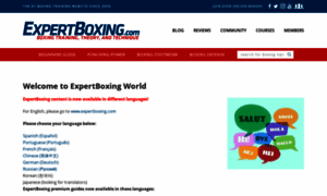 World.expertboxing.com thumbnail