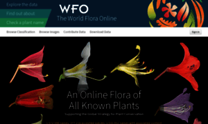 Worldfloraonline.org thumbnail