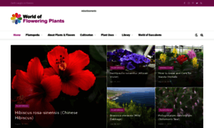 Worldoffloweringplants.com thumbnail