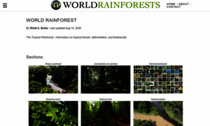 Worldrainforests.com thumbnail