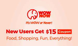 Wownow.net thumbnail