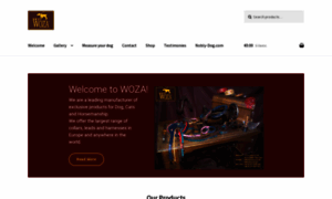 Woza.co.uk thumbnail