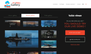 Wp-video-gallery.com thumbnail
