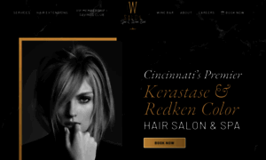 Wsaloncincinnati.com thumbnail