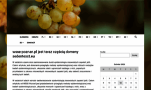 Wsse-poznan.pl thumbnail