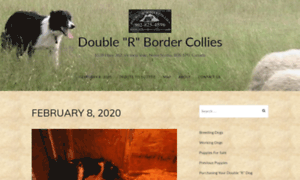 Www2.rrbordercollies.com thumbnail