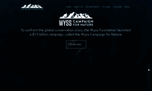 Wyssfoundation.org thumbnail