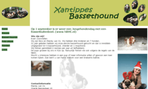 Xantippes-bassethound.nl thumbnail