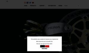Xena-security.com thumbnail