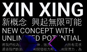 Xinxing.com.tw thumbnail