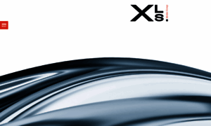 Xls-group.com thumbnail