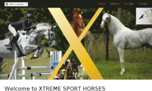 Xtremesporthorses.site thumbnail